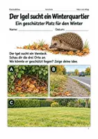 Vorschau - Spiele - Igel im Winterquartier – Arbeitsheft Vorschule - Deckblatt