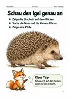 Vorschau - Spiele - Igel im Winterquartier – Arbeitsheft Vorschule - Seite 1