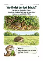 Vorschau - Spiele - Igel im Winterquartier – Arbeitsheft Vorschule - Seite 3