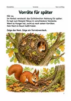 Vorschau - Spiele - Eichhörnchen und Vorräte – Arbeitsheft Vorschule - Seite 1