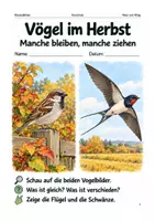 Vorschau - Spiele - Vögel im Herbst – Arbeitsheft Vorschule - Deckblatt