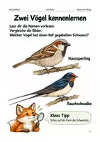 Vorschau - Spiele - Vögel im Herbst – Arbeitsheft Vorschule - Seite 1