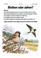 Vorschau - Spiele - Vögel im Herbst – Arbeitsheft Vorschule - Seite 2