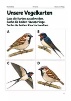 Vorschau - Spiele - Vögel im Herbst – Arbeitsheft Vorschule - Seite 3