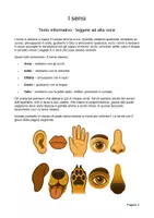 anteprima - Esercizi - Alla scoperta dei sensi – Testi, giochi ed esperimenti sui cinque sensi - Pagina 1