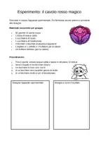 anteprima - Esercizi - Laboratorio di scienze – Raccolta: 14 esperimenti e pensiero critico (1ª-2ª media) - Pagina 3