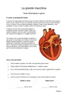anteprima - Esercizi - Il corpo in movimento – Cuore, polmoni, sport e alimentazione - Pagina 2
