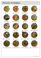 Vorschau - Arbeitsblätter - Waldtiere Wissenskartei Band 2 mit Arbeitsblättern Wolf Luchs Fledermaus Memory und Lösungen - Seite 2
