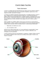 anteprima - Esperimenti - L'occhio e la vista – Esperimenti su pupilla, punto cieco e colori - Pagina 1