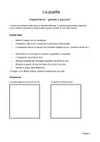 anteprima - Esperimenti - L'occhio e la vista – Esperimenti su pupilla, punto cieco e colori - Pagina 3