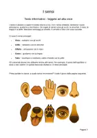 anteprima - Esercizi - Il corpo umano per la primaria – Raccolta di 4 fascicoli: sensi, occhio, cuore e sport, DNA (4ª-5ª) - Pagina 2
