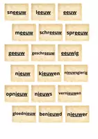 Voorbeeld - Woorden met eeuw, ieuw, uw, aai, ooi en oei: Safari spel - Pagina 3
