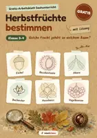 Vorschau - Arbeitsblätter - Herbstfrüchte bestimmen GRATIS – Welche Frucht gehört zu welchem Baum? mit Lösung | Kl. 3–4 - Seite 1