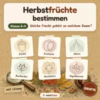 Vorschau - Arbeitsblätter - Herbstfrüchte bestimmen GRATIS – Welche Frucht gehört zu welchem Baum? mit Lösung | Kl. 3–4 - Deckblatt