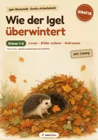Vorschau - Arbeitsblätter - Igel-Werkstatt: Wie der Igel überwintert - Seite 1