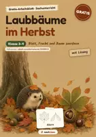 Vorschau - Arbeitsblätter - Laubbäume im Herbst: Blatt, Frucht, Baum - Seite 1