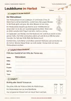 Vorschau - Arbeitsblätter - Laubbäume im Herbst: Blatt, Frucht, Baum - Seite 3
