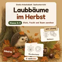 Vorschau - Arbeitsblätter - Laubbäume im Herbst: Blatt, Frucht, Baum - Deckblatt
