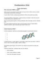 anteprima - Esercizi - DNA e geni per la primaria – Perché somigliamo a mamma e papà? Con gioco di classe - Pagina 2