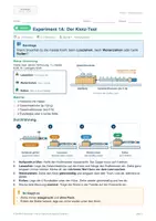 Vorschau - Arbeitsblätter - Reibungsarten (G-Kurs): 6 Experimente zum Ausdrucken – Haften, Gleiten, Rollen und wovon die Reibung abhängt - Seite 3