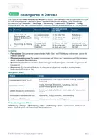 Vorschau - Stundenentwürfe - Reibungsarten (G-Kurs): Lehrkraft-Handreichung mit 2 Stundenverläufen, 4 Demos und erwarteten Ergebnissen - Seite 2