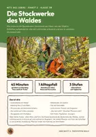 Vorschau - Stundenentwürfe - Stockwerke des Waldes Waldschichten Biologie Klasse 7 8 | Unterrichtsstunde 16 Seiten mit Lösungen | Baum-, Strauch-, Kraut-, Moosschicht, Licht, Boarding Pass, Exit-Ticket, Übungen | Netz des Lebens 2 - Deckblatt