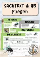 Vorschau - Arbeitsblätter - Fliegen - Deckblatt