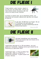 Vorschau - Arbeitsblätter - Fliegen - Seite 3