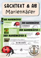 Vorschau - Arbeitsblätter - Marienkäfer - Deckblatt