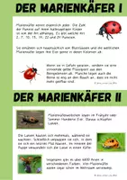 Vorschau - Arbeitsblätter - Marienkäfer - Seite 3