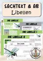 Vorschau - Arbeitsblätter - Libelle - Deckblatt