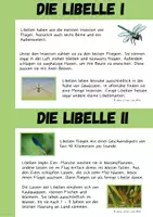 Vorschau - Arbeitsblätter - Libelle - Seite 3