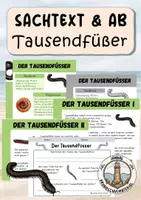 Vorschau - Arbeitsblätter - Tausendfüßer - Deckblatt
