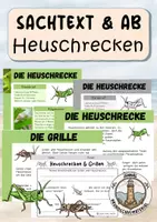 Vorschau - Arbeitsblätter - Heuschrecken - Deckblatt