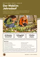 Vorschau - Stundenentwürfe - Wald im Jahresverlauf Frühblüher Biologie Klasse 7 8 | Unterrichtsstunde 16 Seiten mit Lösungen | Licht am Waldboden, Speicherorgane, Laubfall, Boarding Pass, Exit-Ticket, Übungen | Netz des Lebens 11 - Seite 1