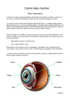 anteprima - Esperimenti - L'occhio per la primaria – Esperimenti facili su pupilla, punto cieco e colori - Pagina 1