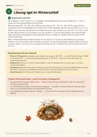 Vorschau - Arbeitsblätter - Igel im Winterschlaf: Diagramm auswerten | Klasse 7/8 | Gratis-Arbeitsblatt + Lösung - Seite 2