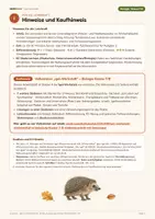 Vorschau - Arbeitsblätter - Igel im Winterschlaf: Diagramm auswerten | Klasse 7/8 | Gratis-Arbeitsblatt + Lösung - Seite 3