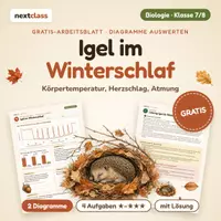 Vorschau - Arbeitsblätter - Igel im Winterschlaf: Diagramm auswerten | Klasse 7/8 | Gratis-Arbeitsblatt + Lösung - Deckblatt