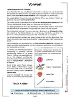 Vorschau - Arbeitsblätter - Parlez-vous français Französisch Grundschule Klasse 1-2 | Wortschatz, Farben, Zahlen, Dialoge, Bild-Wort-Zuordnung, spielerisch Französisch | differenzierte Arbeitsblätter Kopiervorlagen - Seite 3