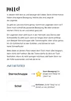 Vorschau - Aufgabenkarten - Lesen mit Bewegung Winter Klasse 1 2 3 4 | 32 Wortkarten, 24 Rätselsätze, Geschichten in drei Stufen | Brain Breaks im Januar und Februar - Seite 2