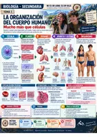 Vista previa - Refuerzo / NEE / Materiales de apoyo - BIOLOGIA el cuerpo humano y la salud secundaria - página 1