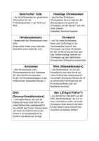 Vorschau - Spiele - Spiel "Sag es nicht" Grundbegriffe zur Genetik - Seite 2
