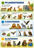 Vorschau - Poster - 3 Poster: Lebensweise, Nahrungstypen und Fortbewegung von Tieren, 1 - Seite 3