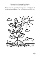 anteprima - Esercizi - La fotosintesi per la primaria – Luce, acqua e anidride carbonica con esperimenti - Pagina 1