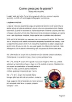 anteprima - Esercizi - La fotosintesi per la primaria – Luce, acqua e anidride carbonica con esperimenti - Pagina 3