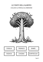 anteprima - Esercizi - Pacchetto Animali e piante – In stampato maiuscolo per la classe 1ª - Pagina 3