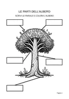 anteprima - Esercizi - Alla scoperta degli alberi – In stampato maiuscolo per la classe 1ª - Pagina 3