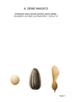 anteprima - Esercizi - Alla scoperta dei semi magici – In stampato maiuscolo per la classe 1ª - Pagina 2