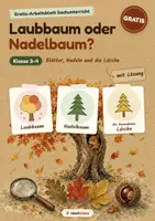Vorschau - Arbeitsblätter - Laubbaum oder Nadelbaum? GRATIS Arbeitsblatt Herbst – Nadelbäume erkennen mit Lösung | Kl. 3–4 - Seite 1